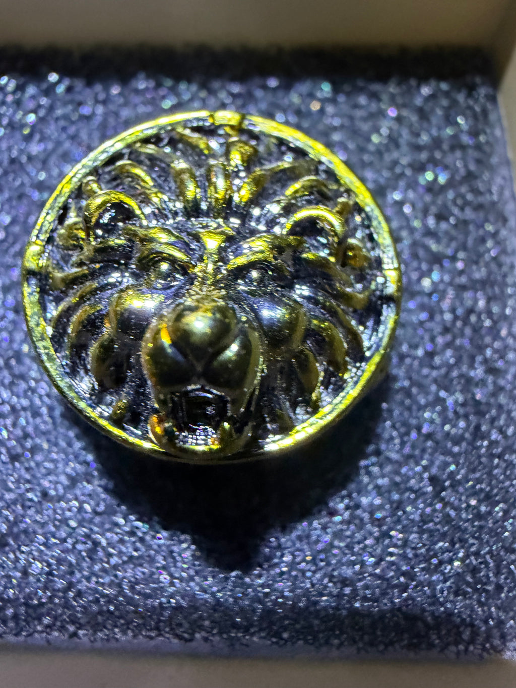 Stainless Steel Lion Head