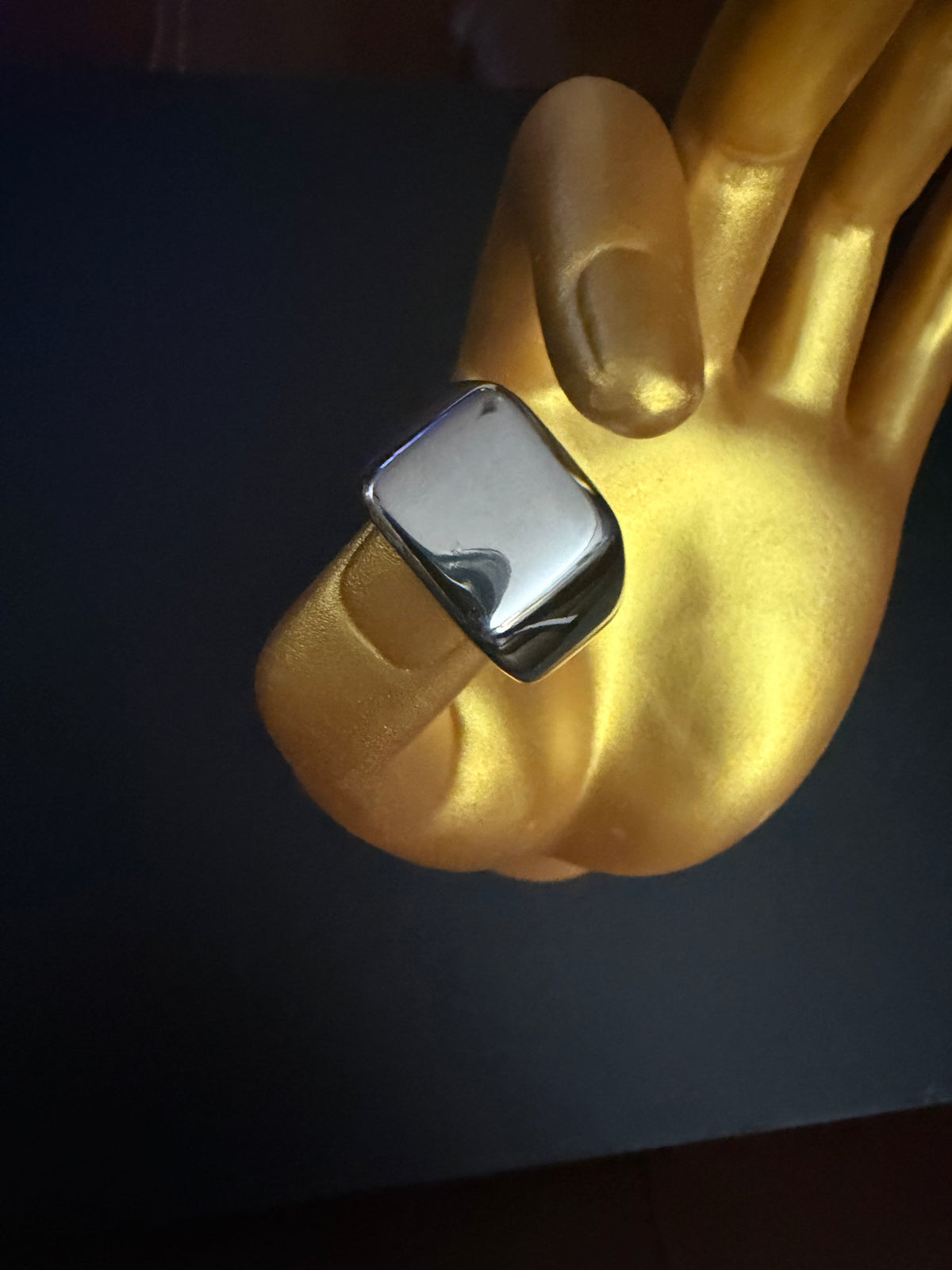 Stainless steel ring