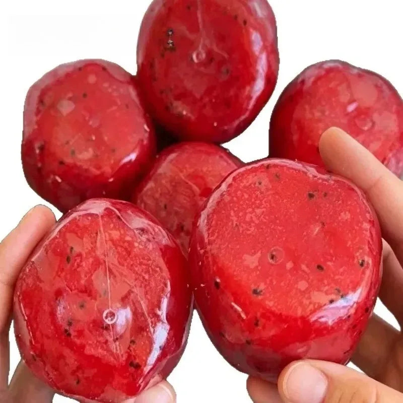 Slushy Watermelon Squishy, Slushie Squishy Watermelon with Slush Inside, Fruit Slush Stress Ball for Adults